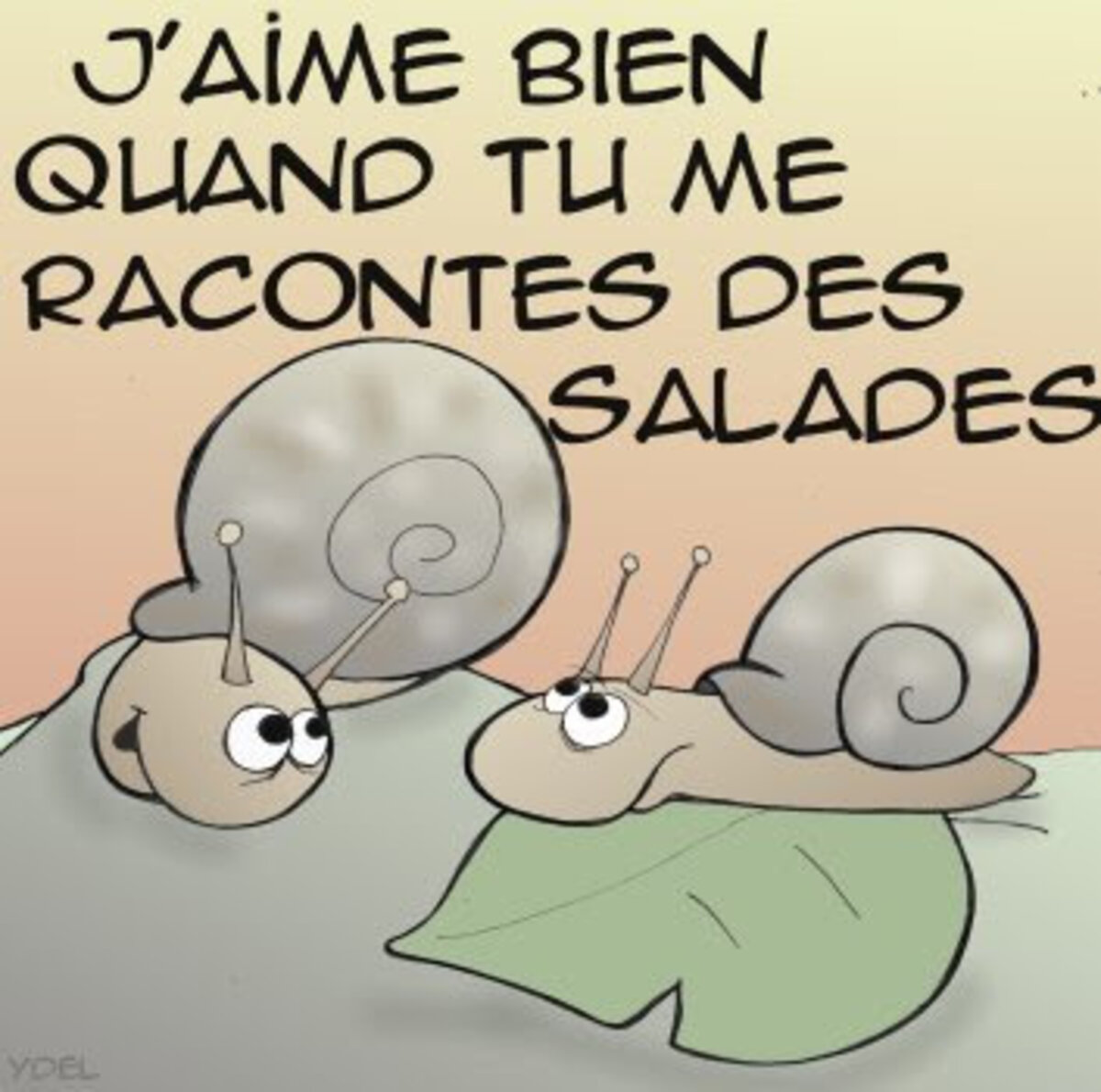 Illustration 1