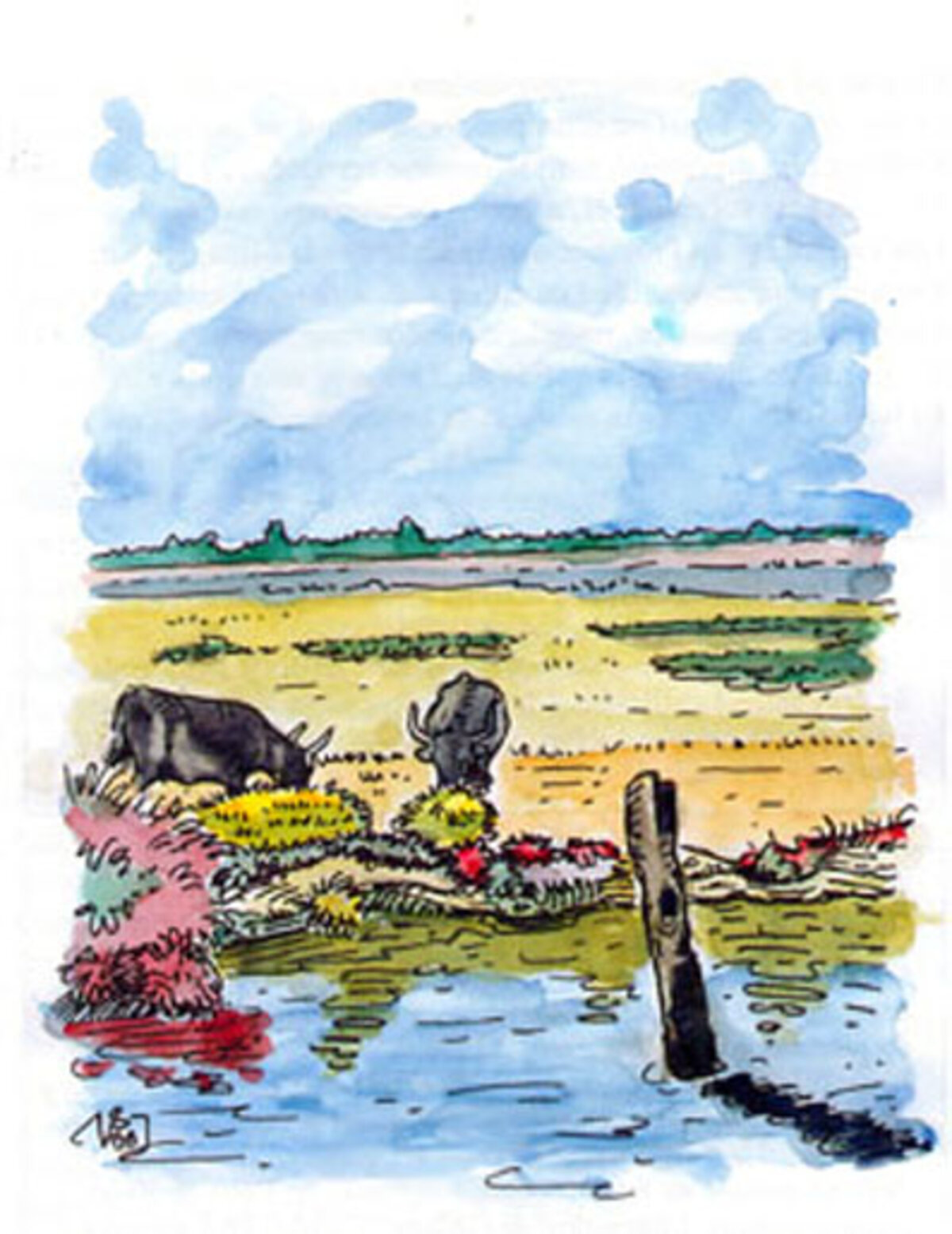 Illustration 1