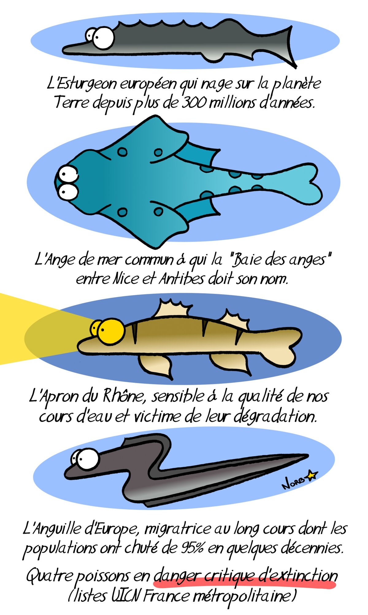 Illustration 1