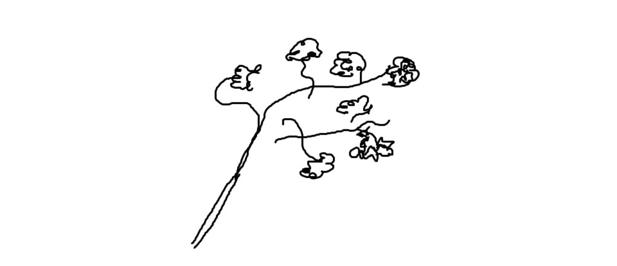 Illustration 1