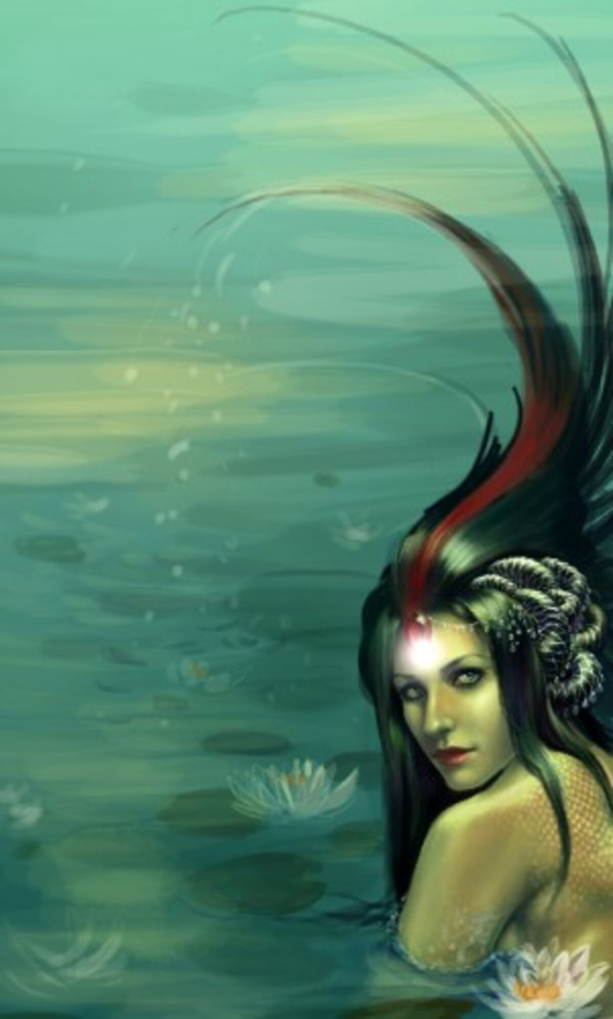 Illustration 1