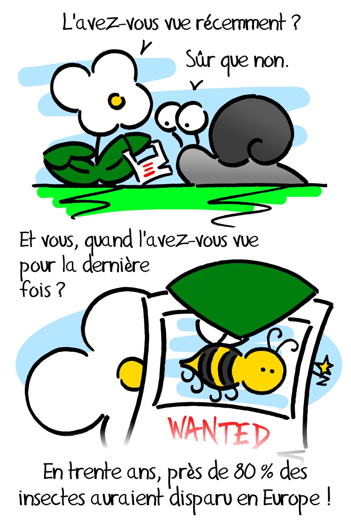 Illustration 1