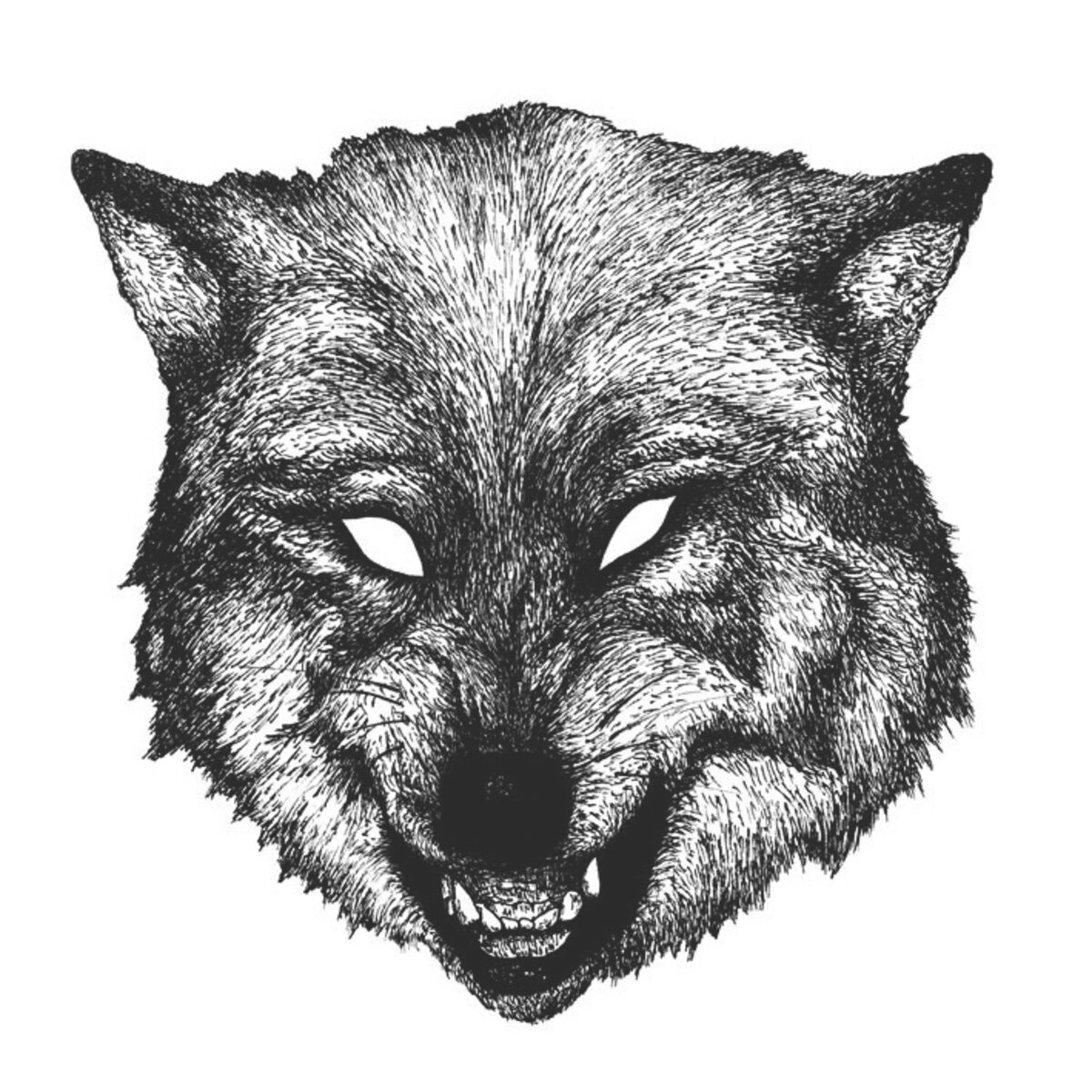 Illustration 1