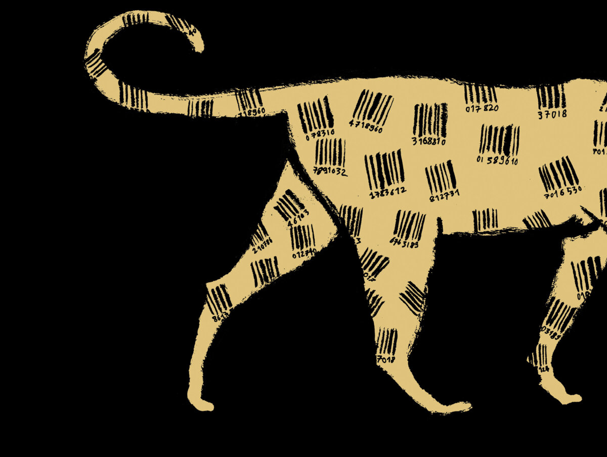 Illustration 1