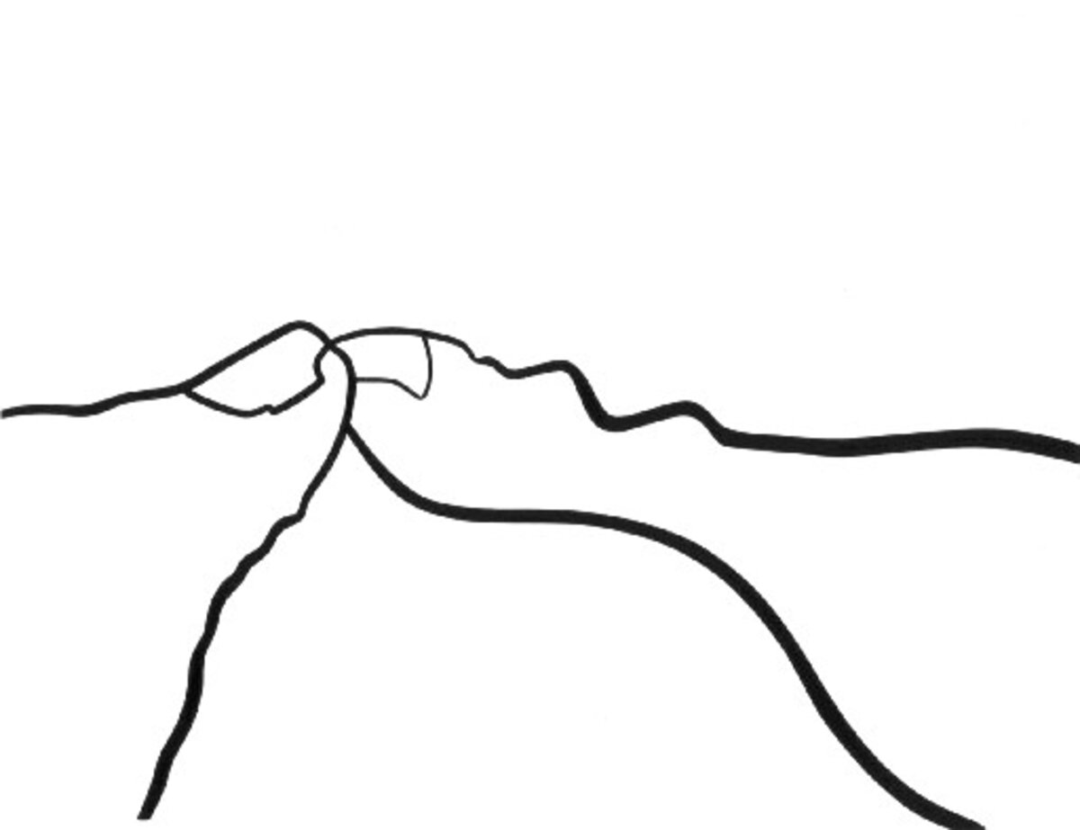 Illustration 1