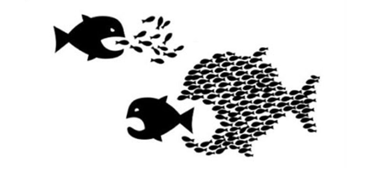 Illustration 1