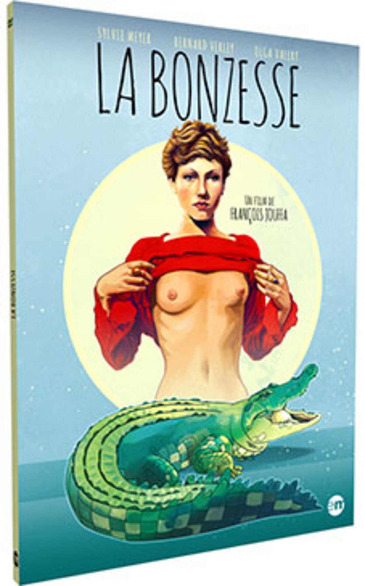 Illustration 1
