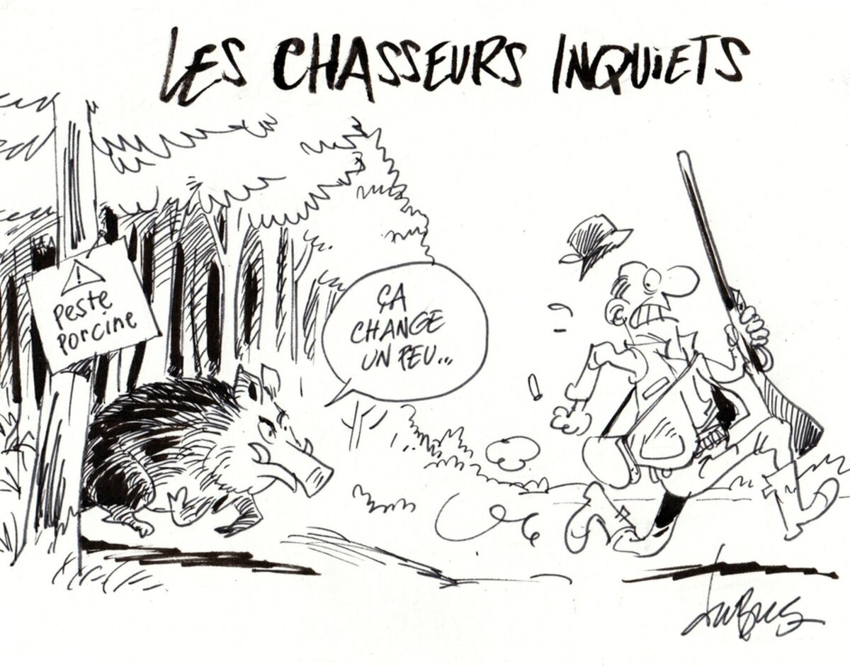 Illustration 1