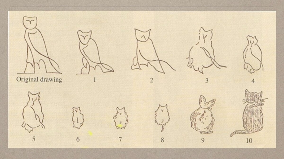 Illustration 1