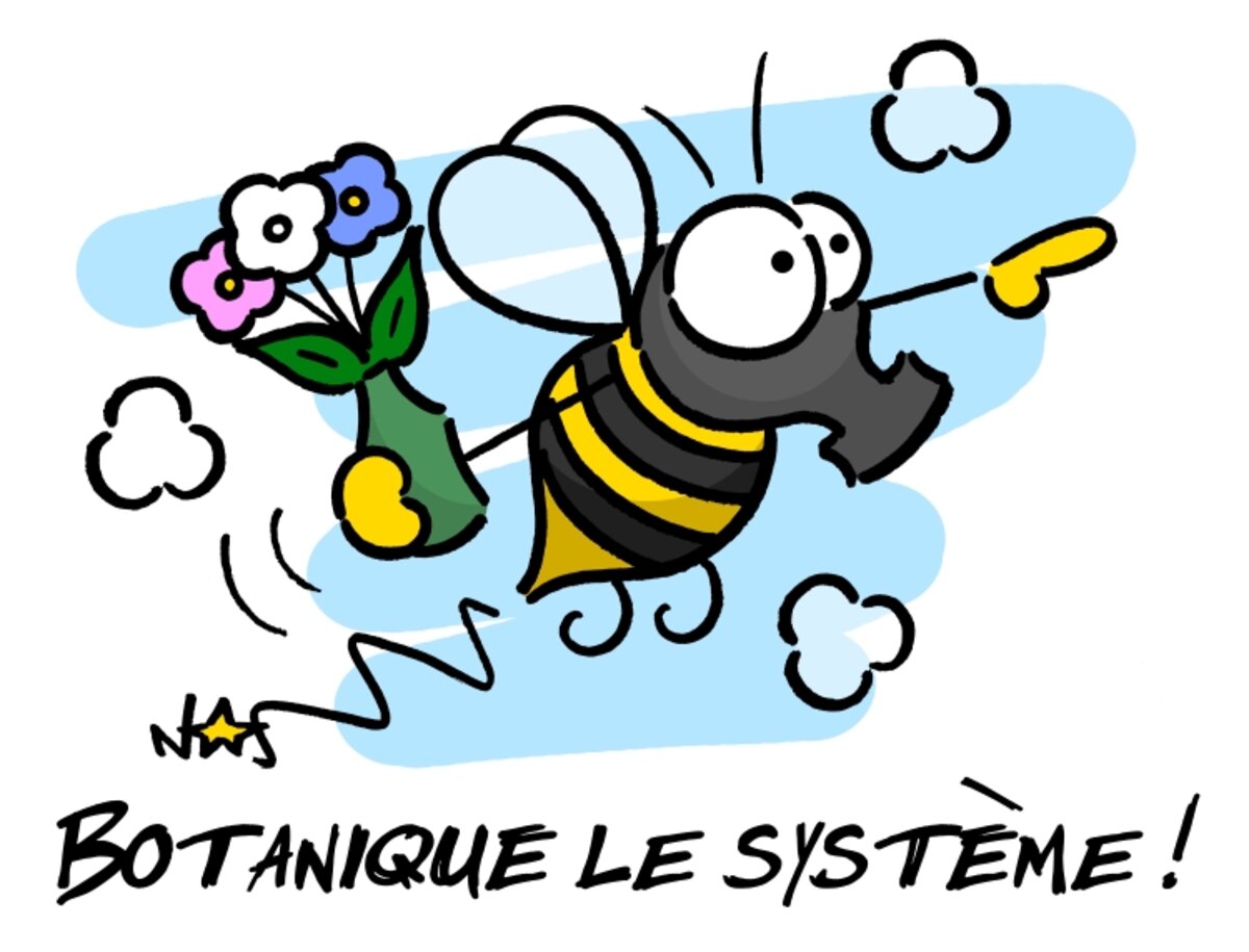 Illustration 1