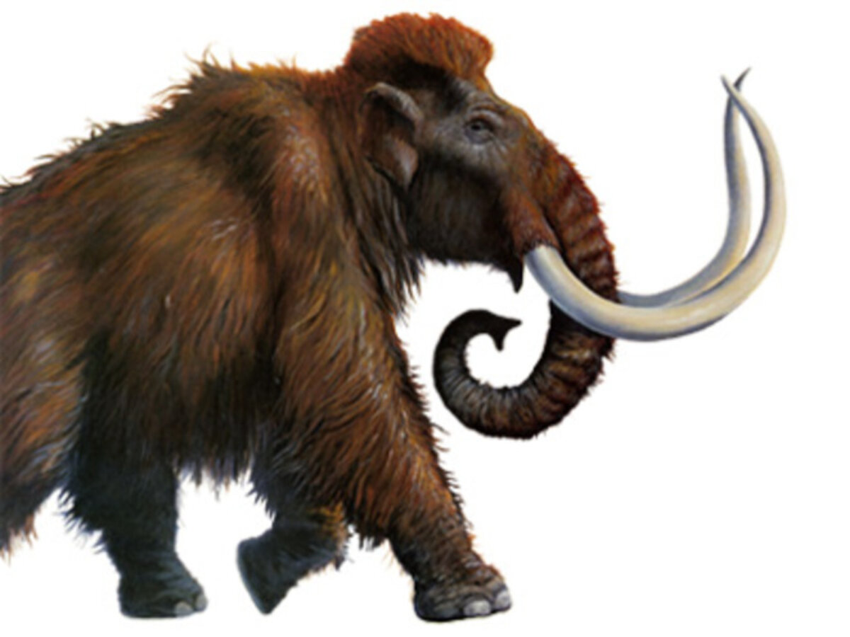 Illustration 1
