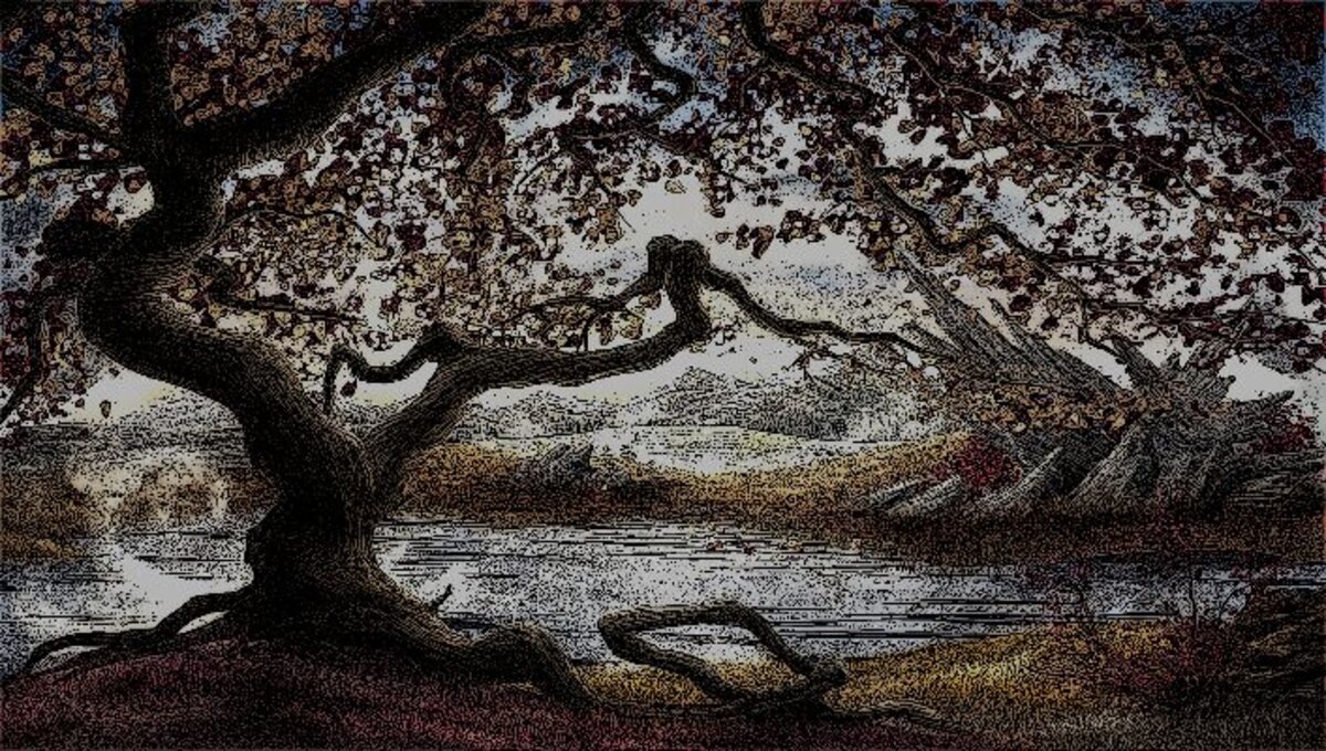 Illustration 1