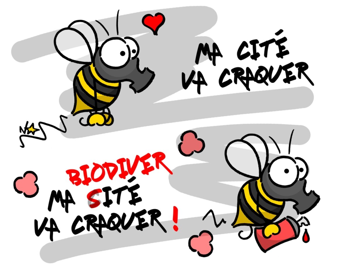 Illustration 1