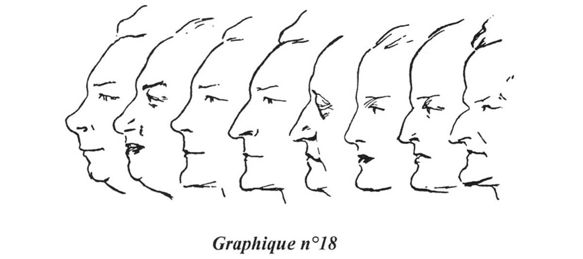 Illustration 1