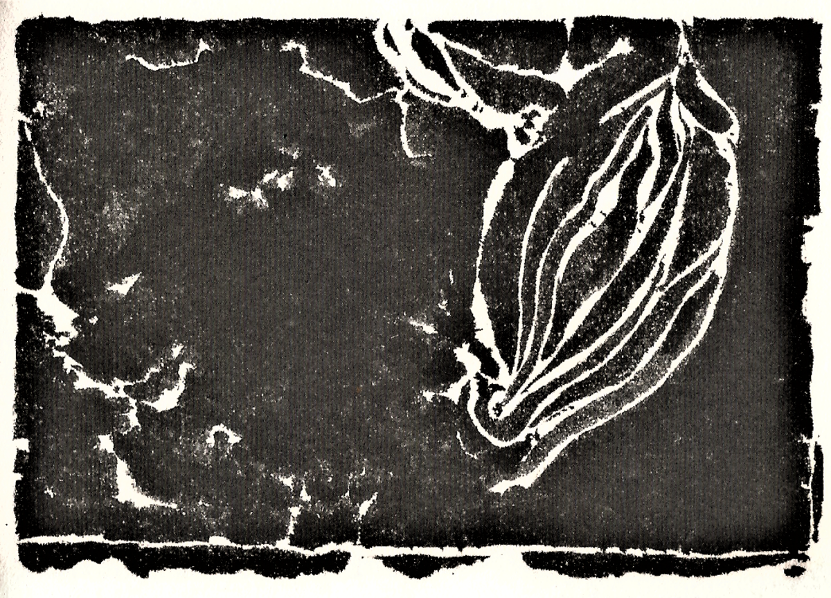 Illustration 1