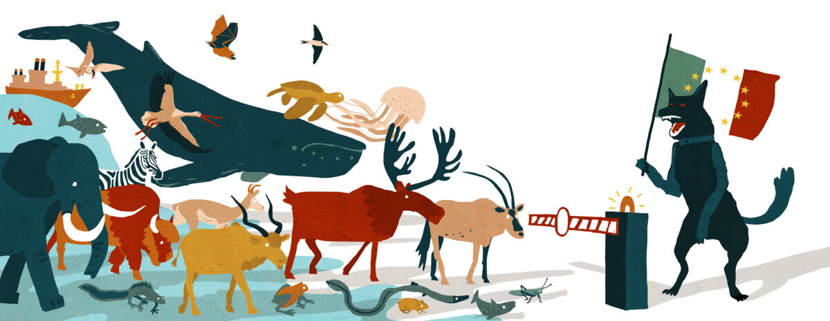 Illustration 1