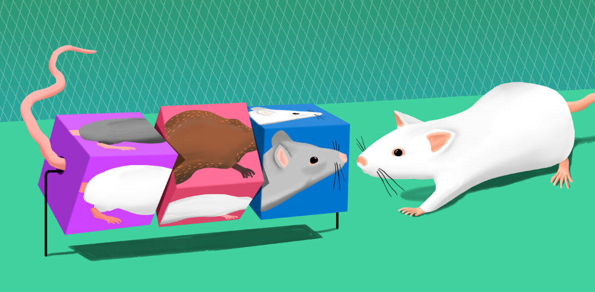 Illustration 1