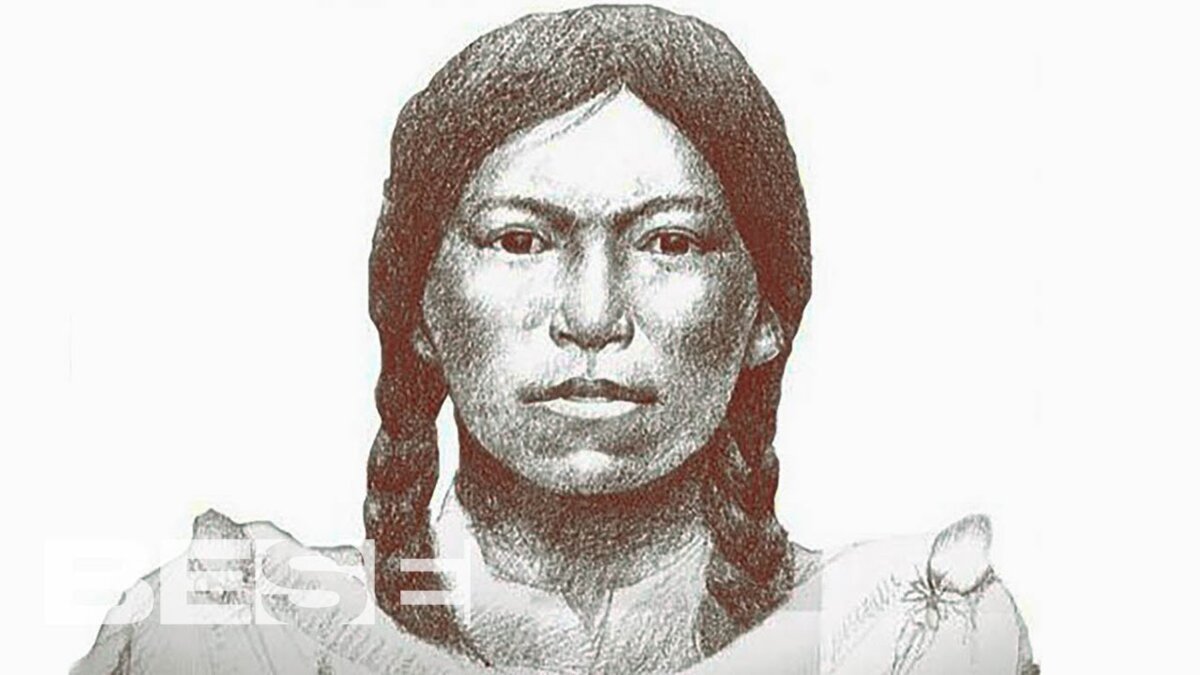 Illustration 1