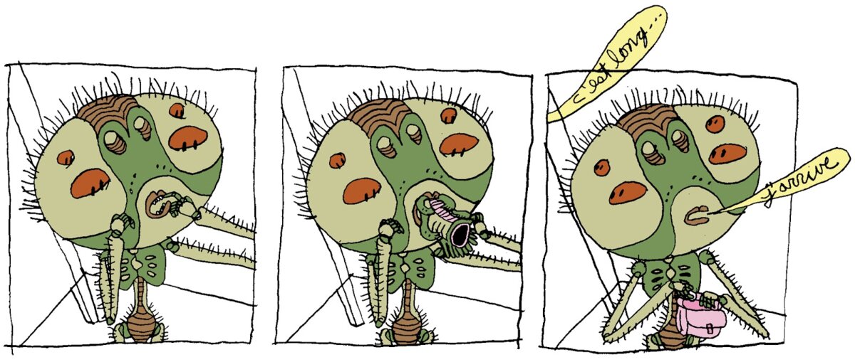 Illustration 1
