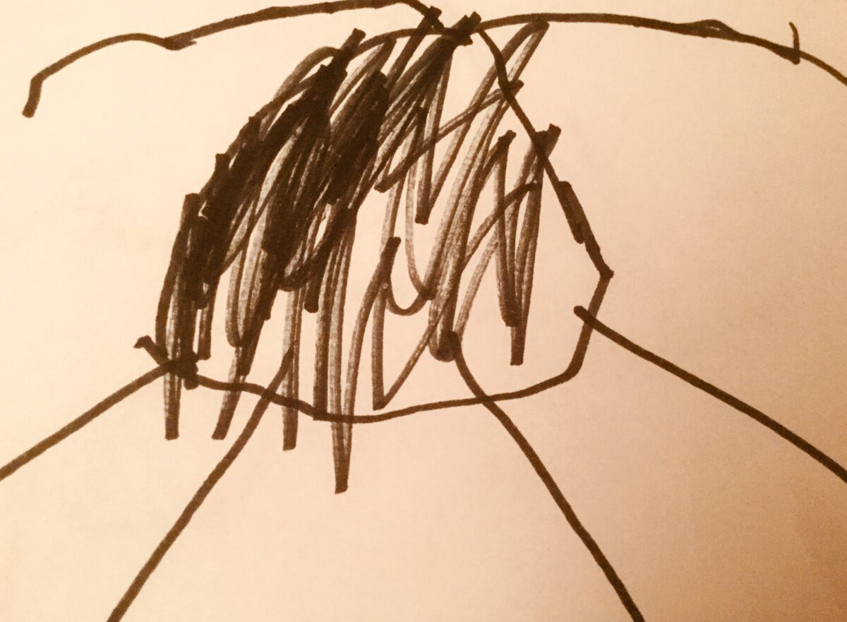 Illustration 1