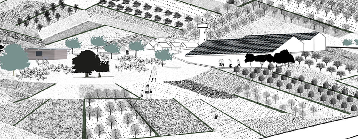 Illustration 1