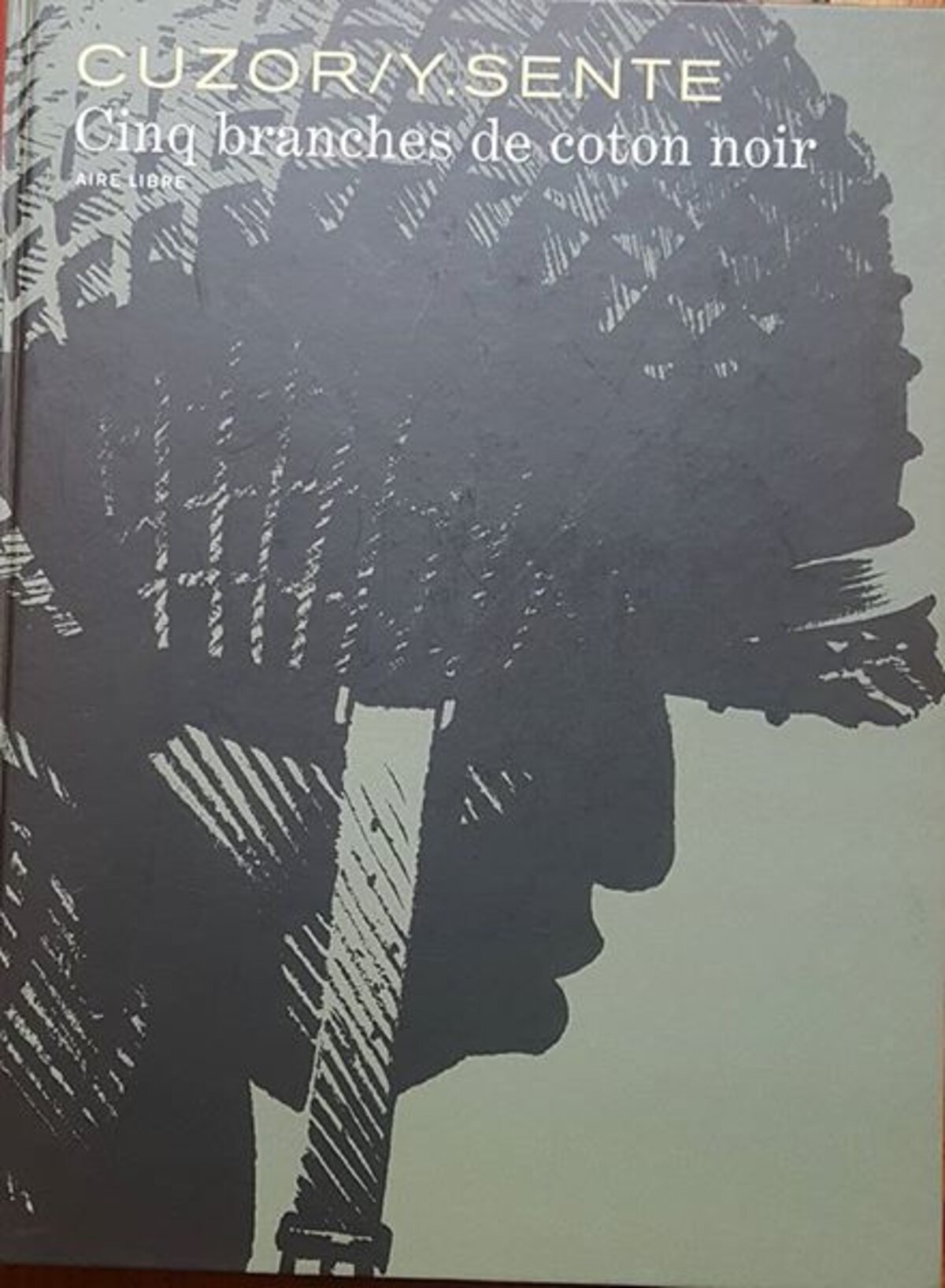 Illustration 1