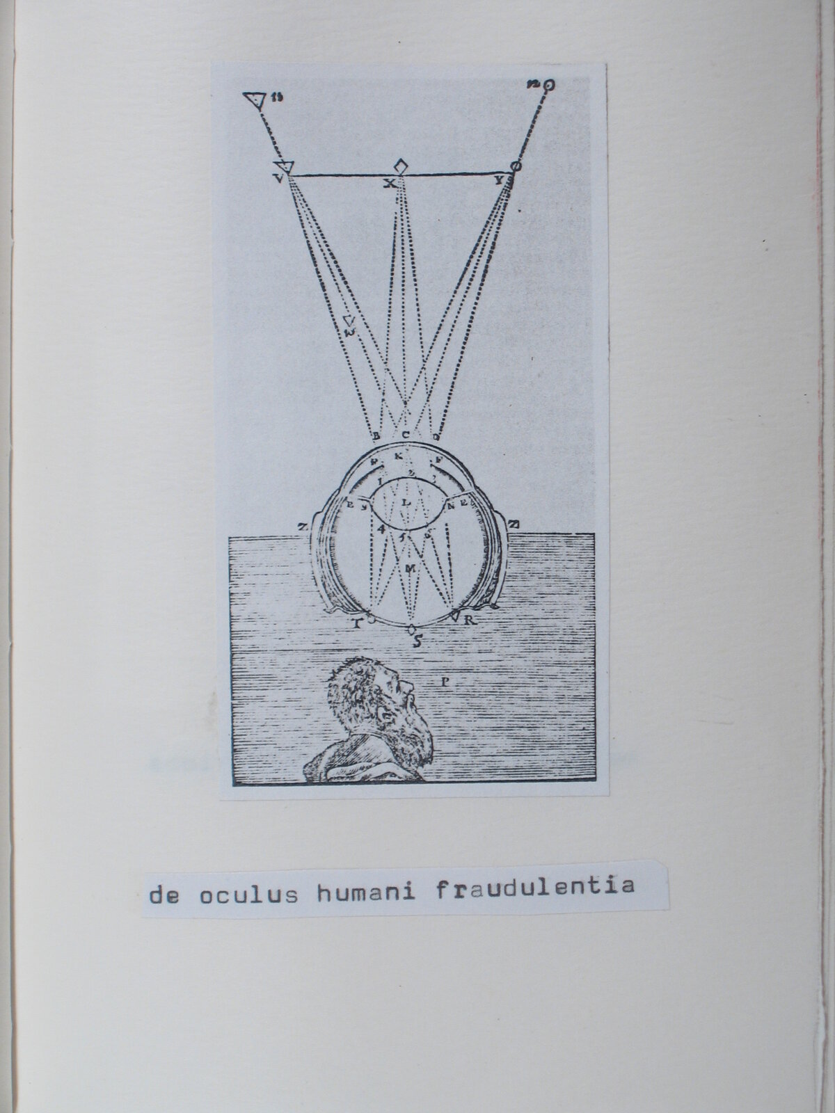 Illustration 1