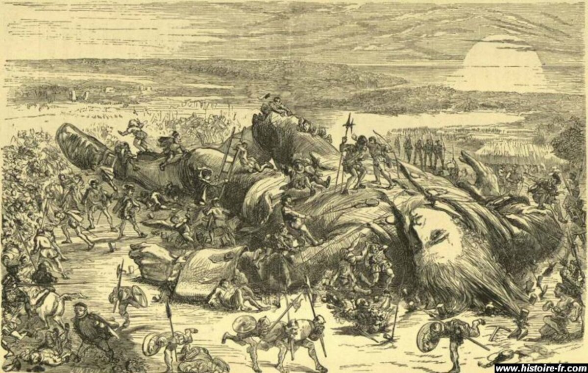 Illustration 1