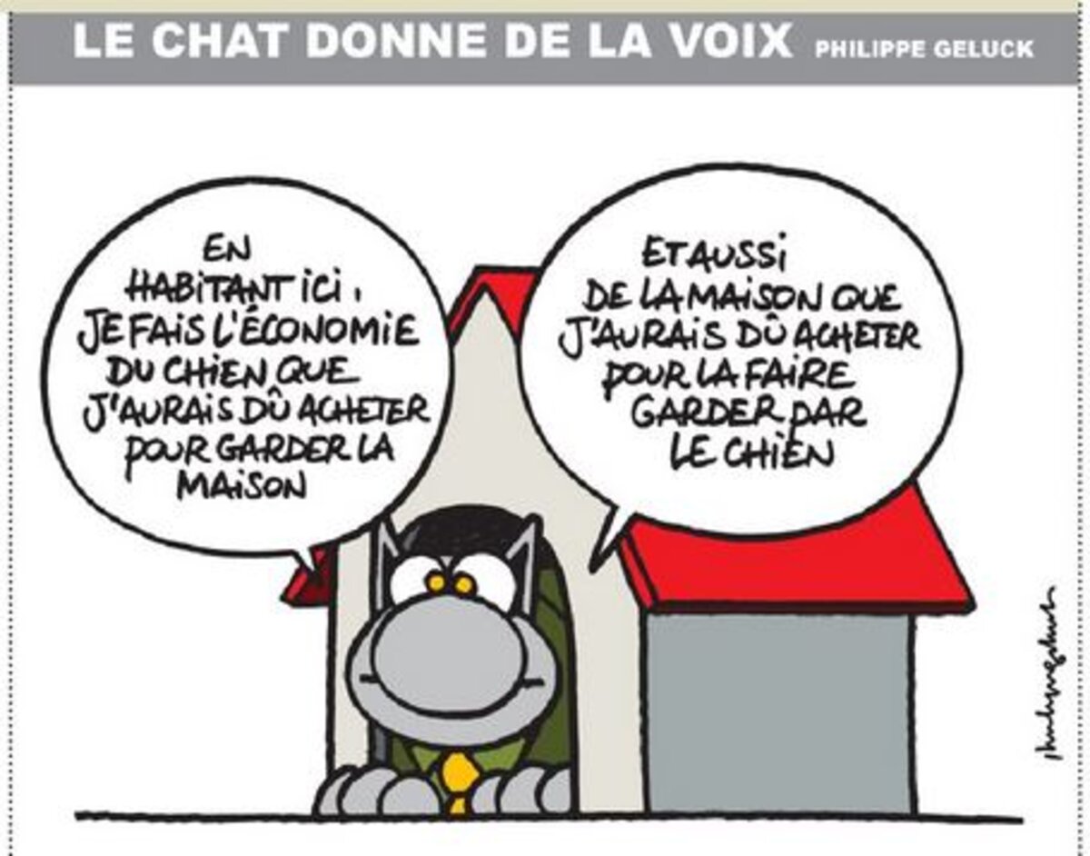 https://static.mediapart.fr/etmagine/article_google_discover/files/2020/07/27/geluck-lhumaniste-qui-veut-faire-le-malin.jpg