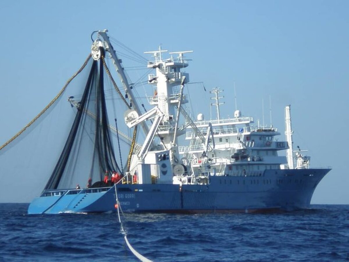 Esclavismo moderno a bordo de barcos franceses y españoles en Costa de  Marfil | Mediapart