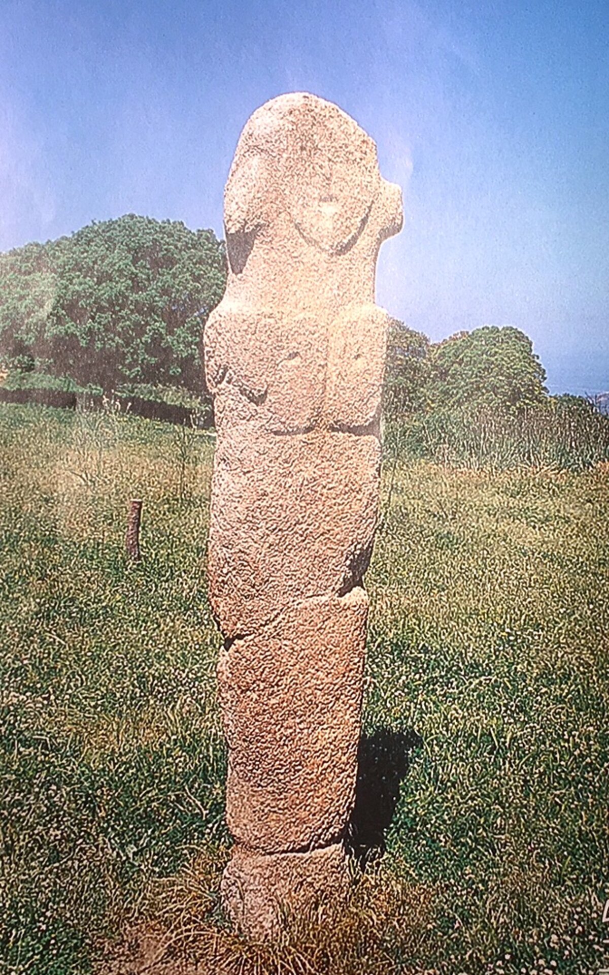 Illustration 1