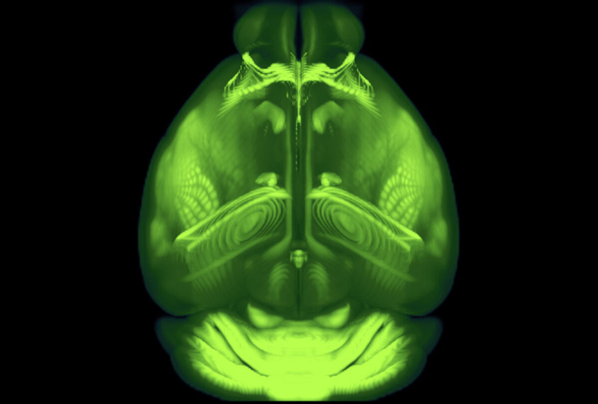 Illustration 1