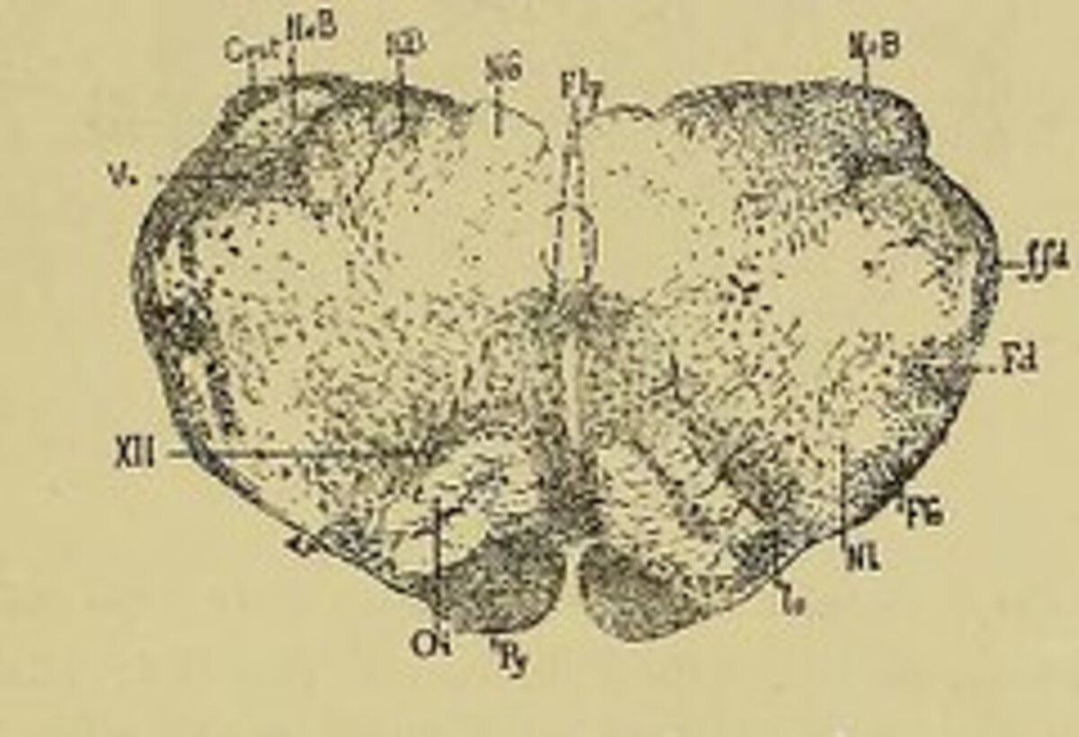 Illustration 1
