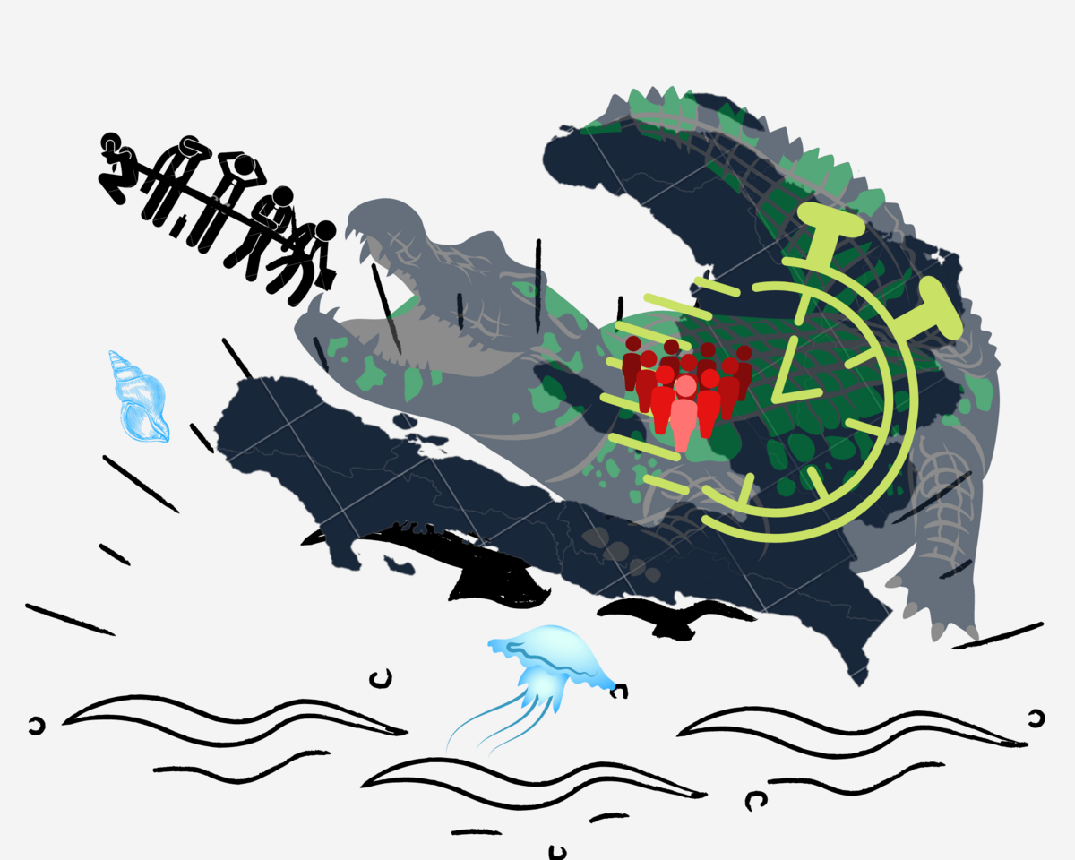 Illustration 1