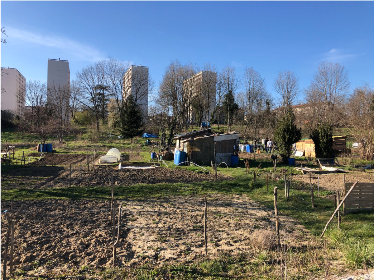 Ils ont agrandi la maison pour loger 80 000 fèves