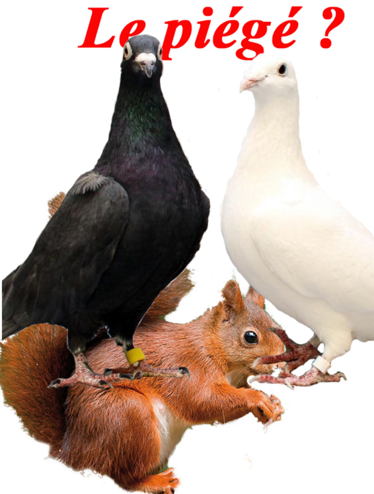 Illustration 1