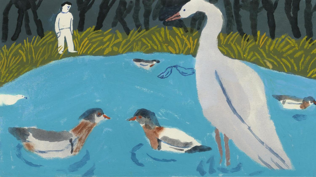 Illustration 1