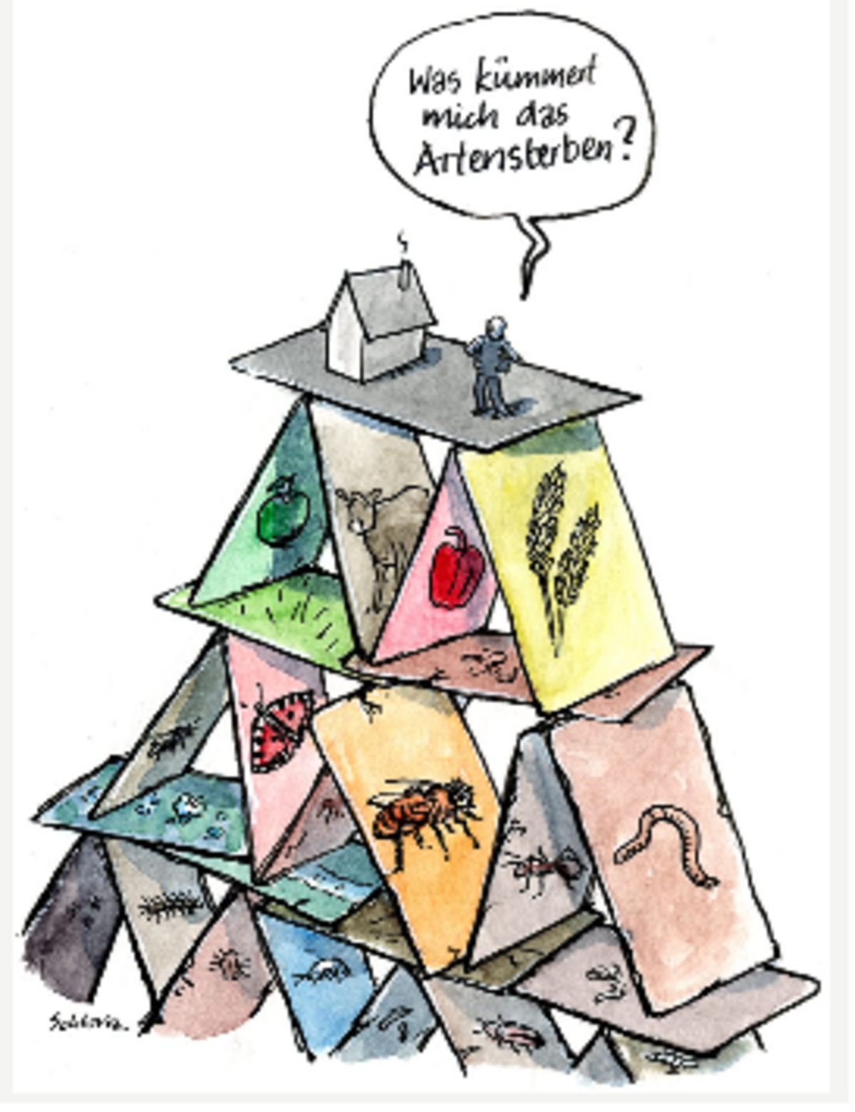Illustration 1