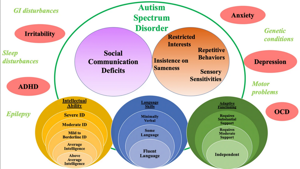 le-diagnostic-de-l-autisme-de-kanner-au-dsm-iii-au-dsm-5-et-au-del