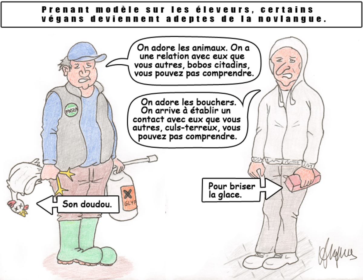 Illustration 1
