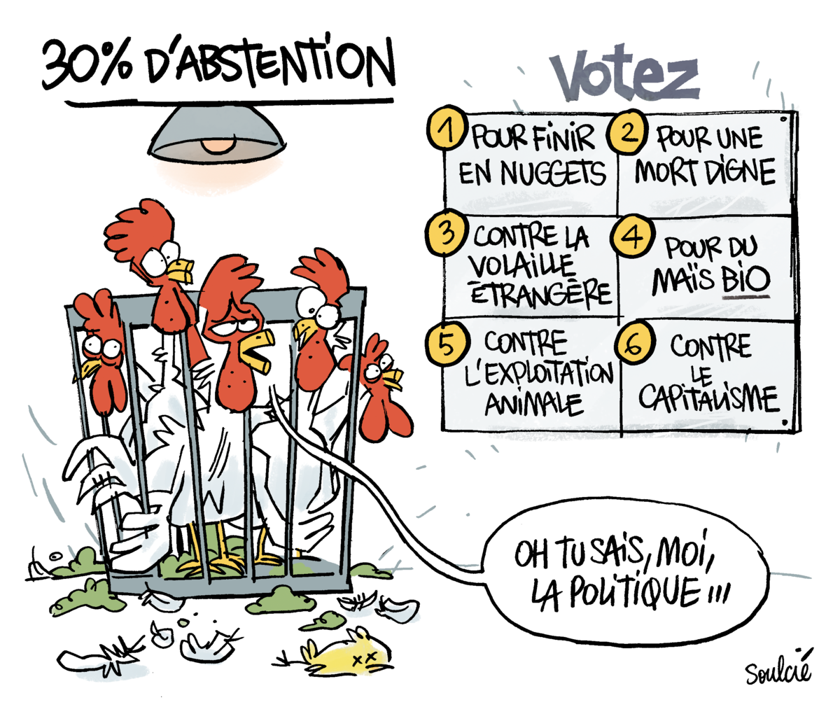 Les Vraies Raisons De La Montée De L’abstention | Mediapart