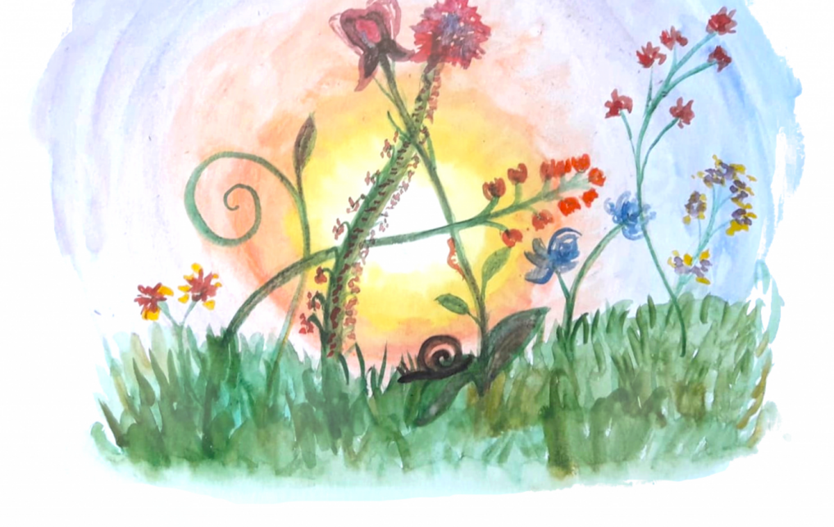 Illustration 1