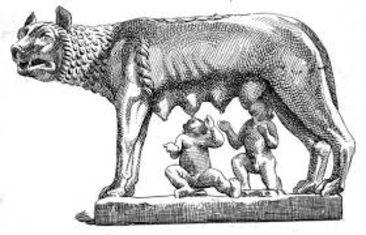 Illustration 1