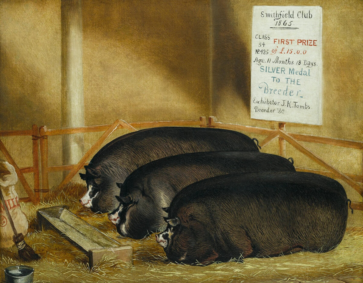 Illustration 1