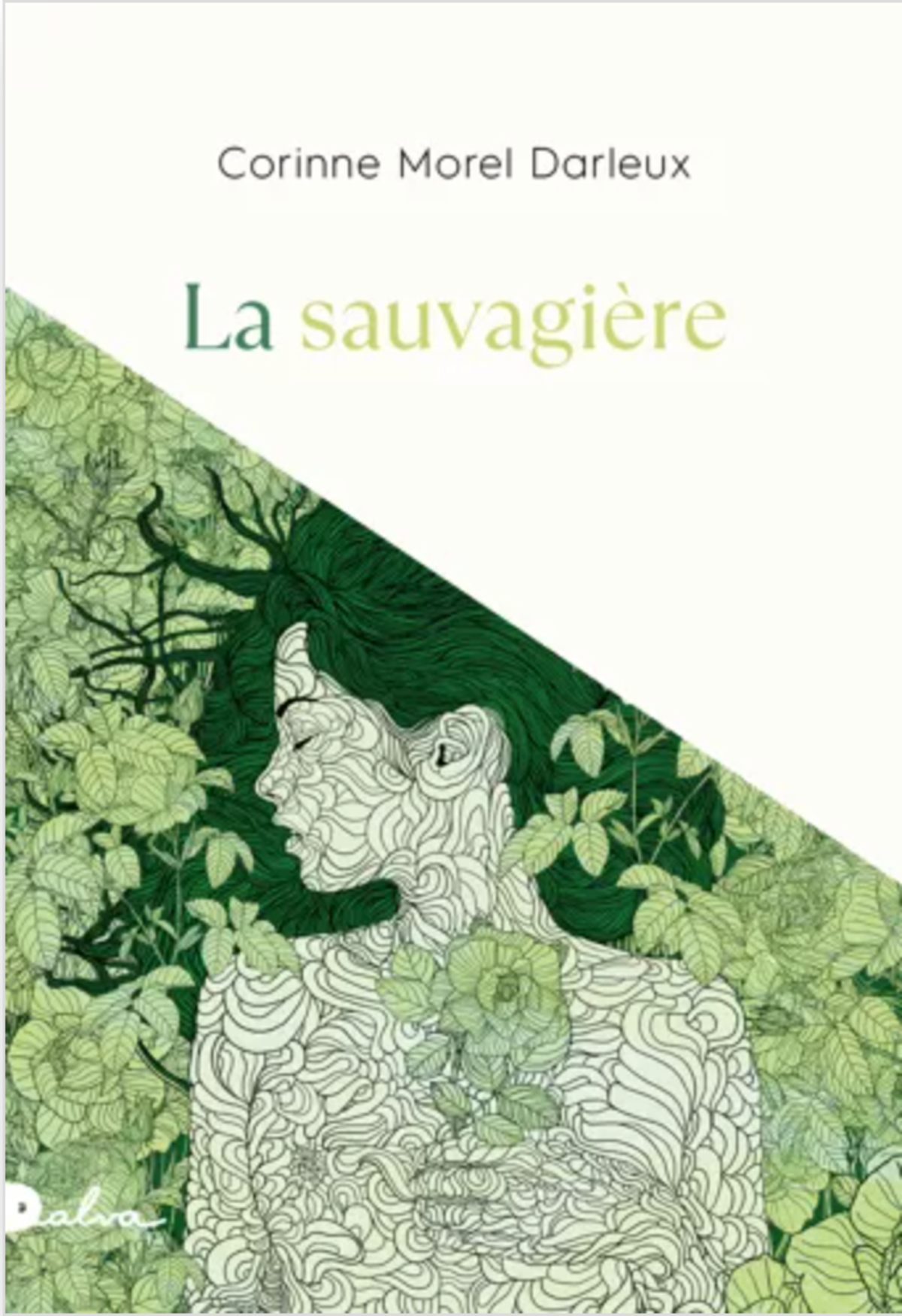 Illustration 1