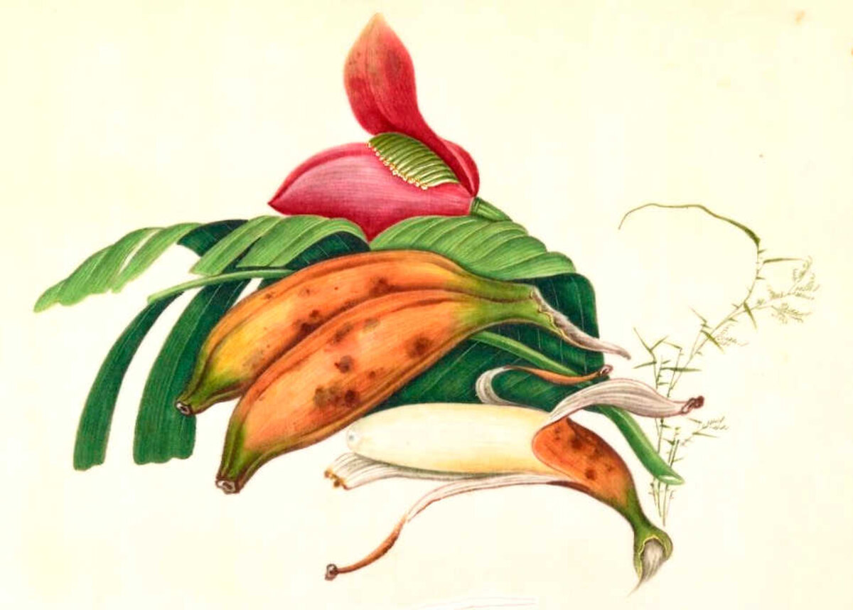 Illustration 1
