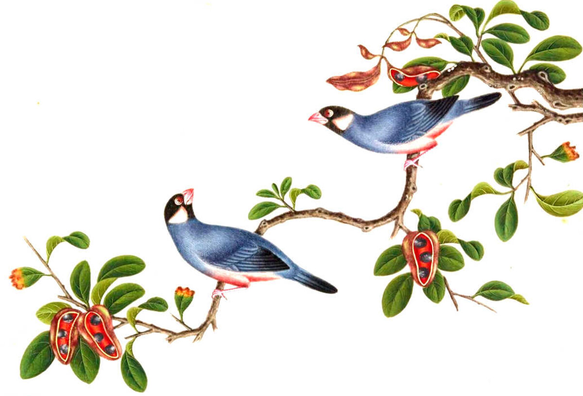 Illustration 1