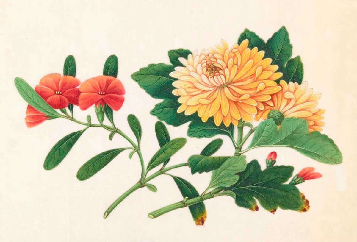 Illustration 1