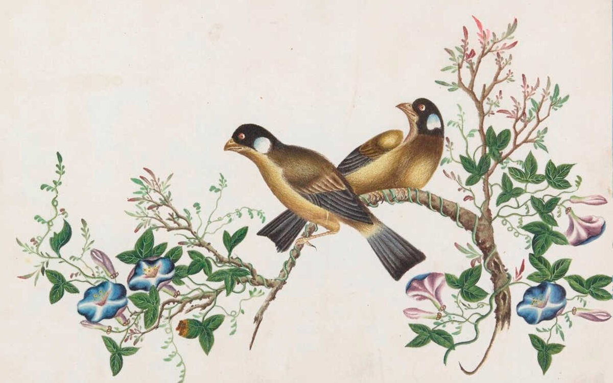 Illustration 1