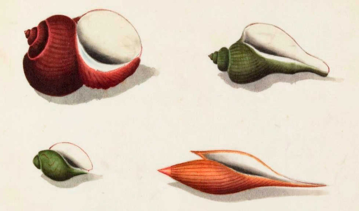 Illustration 1